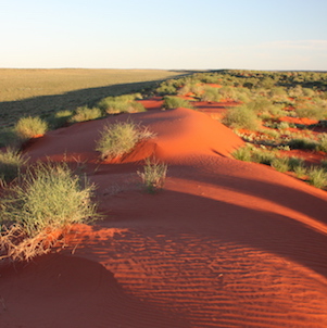 Simpson Desert

