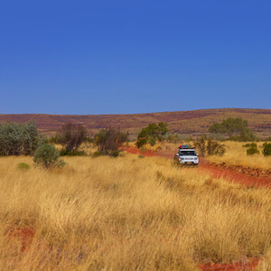 Simpson Desert